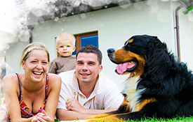Hundehaftpflicht: Auch für Kleine ein Muss