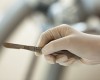 Bildquelle: esoia(shutterstock.com)